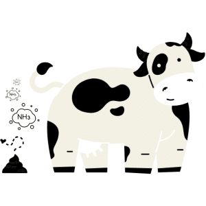 Illustration humoristique d’une vache produisant de l’ammoniac (NH3)